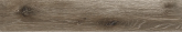 Керамогранит Absolut Gres Wildwood nero (20x120х0,9) арт. AB 1134W на сайте domix.by