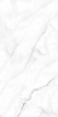 Керамогранит Lumacer Palermo Bianco (60x120х0,8) арт. LM 2520G полированный на сайте domix.by