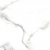 Плитка Netto Plus Gres Carrara polished (60x60) на сайте domix.by