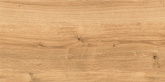 Плитка Cersanit Woodhouse коричневый WS4O112 (29,7x59,8) на сайте domix.by
