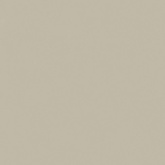 Керамогранит Italon Форум Слим Дезерт арт. 610010004200 (120x120) под бетон, коричневый, матовый на сайте domix.by