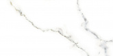 Плитка Netto Plus Gres Carrara polished (60x120) на сайте domix.by