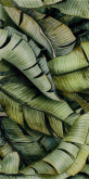 Плитка Ceramika Paradyz Natura Inserto Leaf B (30х60) на сайте domix.by