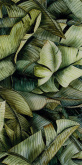 Плитка Ceramika Paradyz Natura Inserto Leaf A (30х60) на сайте domix.by