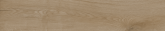 Керамогранит Argenta Ceramica Oland Honey рект. (23х120) матовый на сайте domix.by