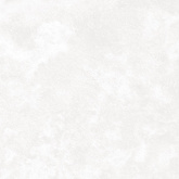 Плитка Kerranova Central Park Белый K-701/MR (60x60) матовый на сайте domix.by