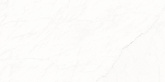 Керамогранит Ceraland Pure Ccarrara (60х120) глянец на сайте domix.by