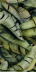 Плитка Ceramika Paradyz Natura Inserto Leaf B (30х60)