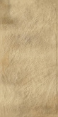 Клинкерная плитка Ceramika Paradyz Eremite Sand структура матовая (30x60) на сайте domix.by