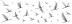 Плитка Мeissen Keramik Elegance птицы, белый  EG2U051DT (25x75)